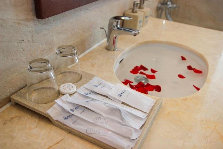 Superior Twin Garden view